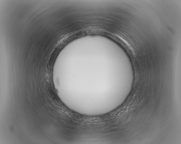 X0000116120823200911230929
