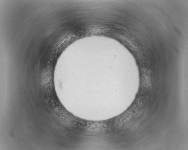 X0000116120824200911230929