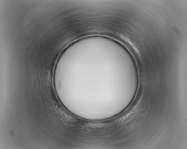 X0000116120825200911230929