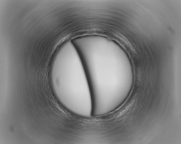 X0000116120826200911230929