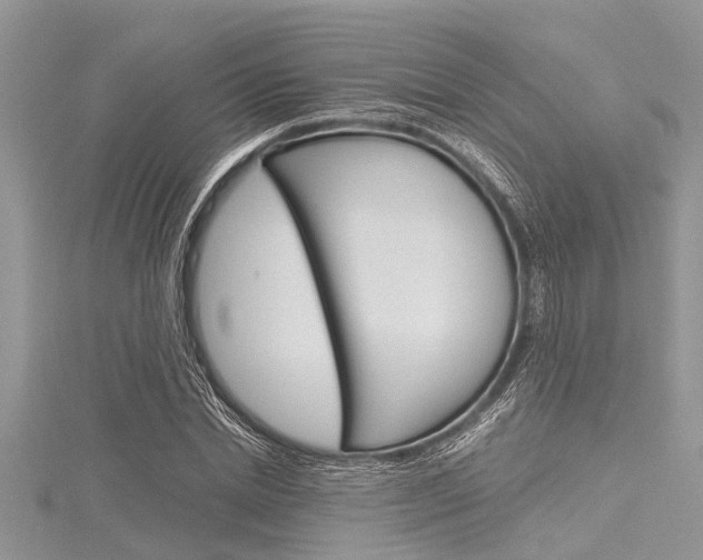 X0000116120830200911230929