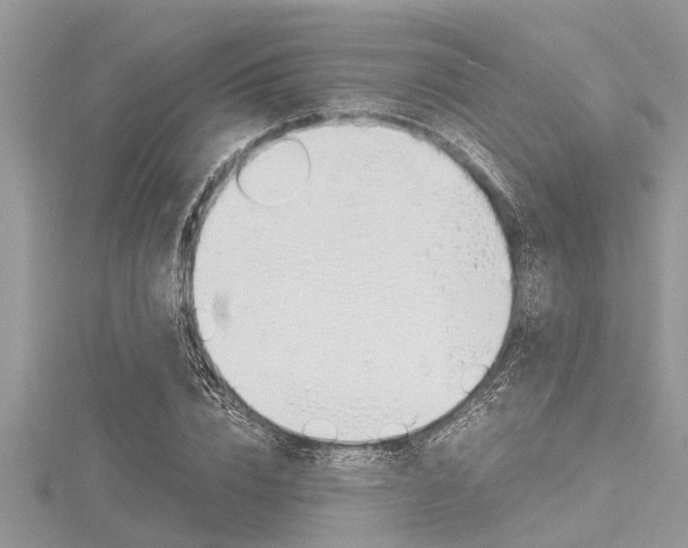 X0000116120832200911230929