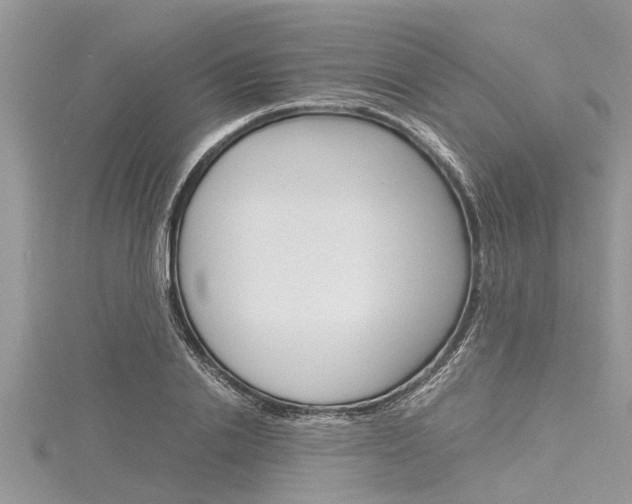 X0000116120838200911230929