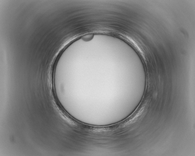 X0000116120843200911230929
