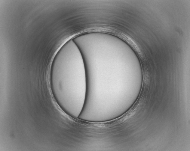 X0000116120844200911230929
