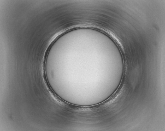 X0000116120845200911230929