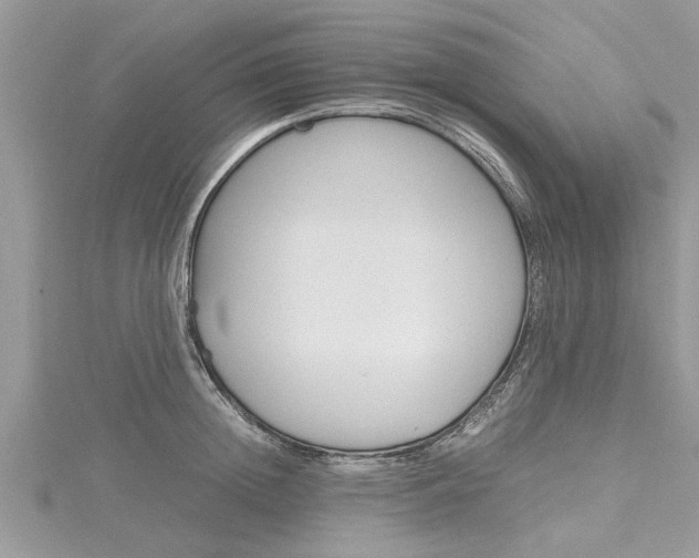 X0000116120852200911230929