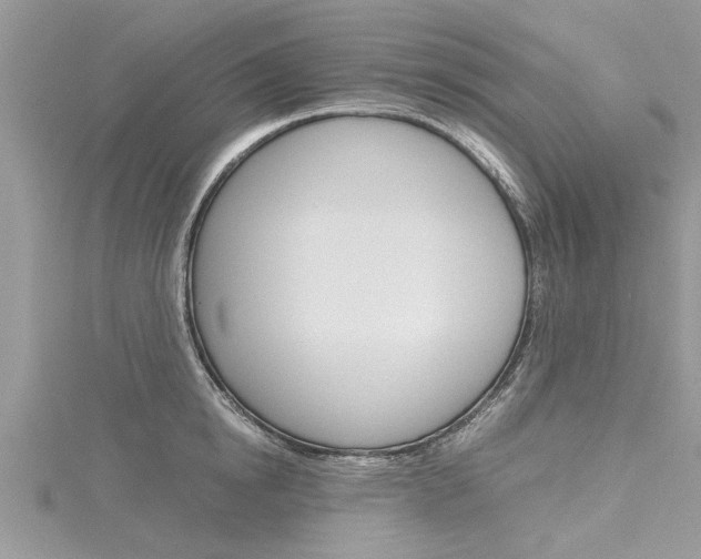 X0000116120854200911230929