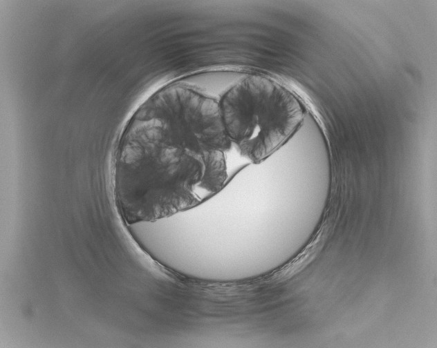 X0000116120859200911230929