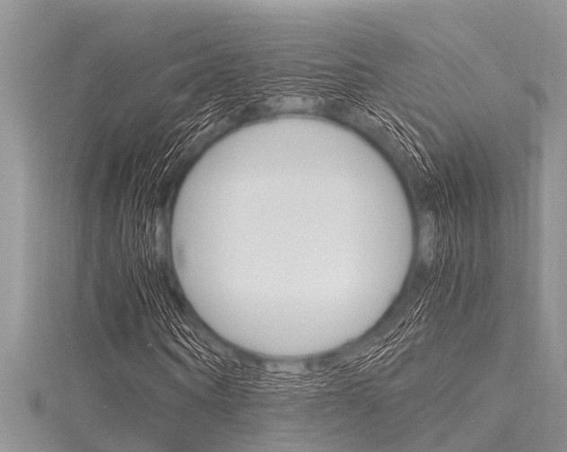 X0000116120866200911230929