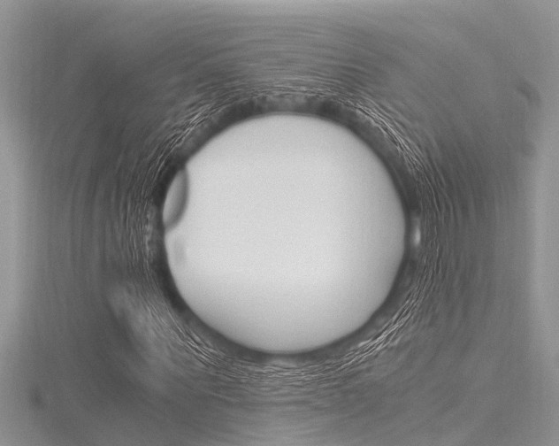 X0000116120867200911230929