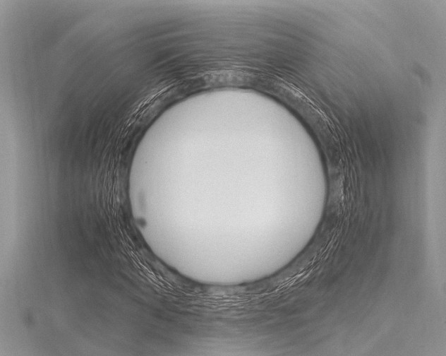 X0000116120870200911230929