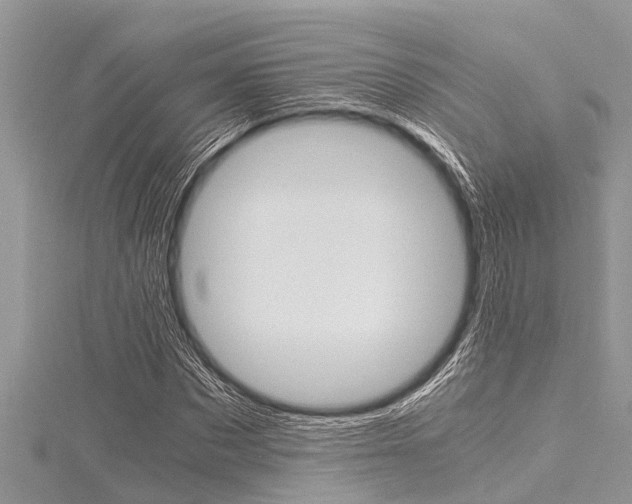 X0000116120873200911230929