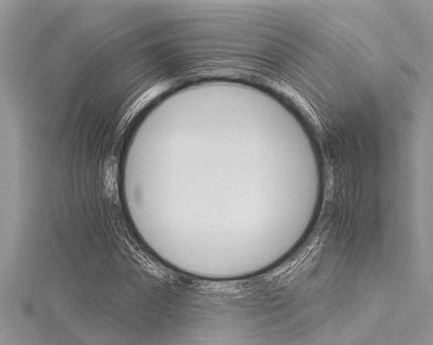 X0000116120874200911230929