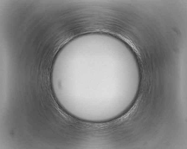 X0000116120881200911230929