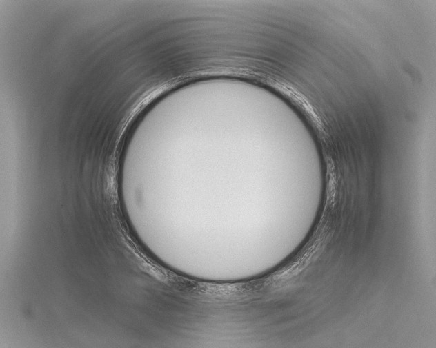 X0000116120882200911230929