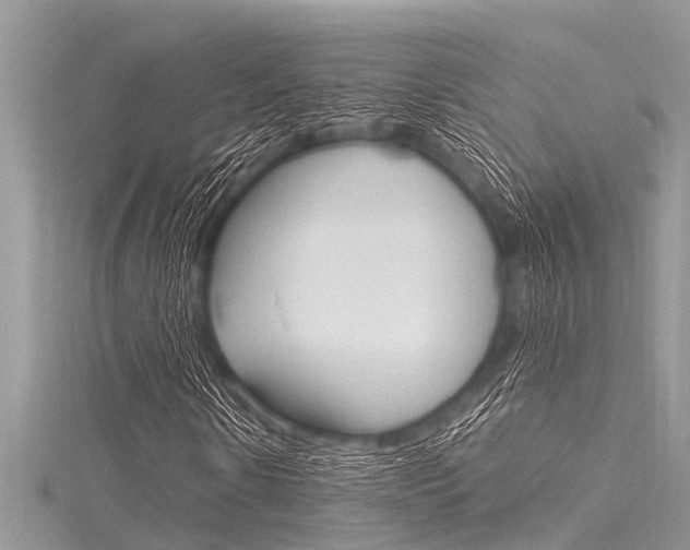 X0000116120914200911230928