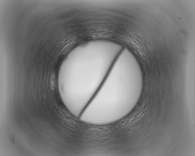 X0000116120915200911230928