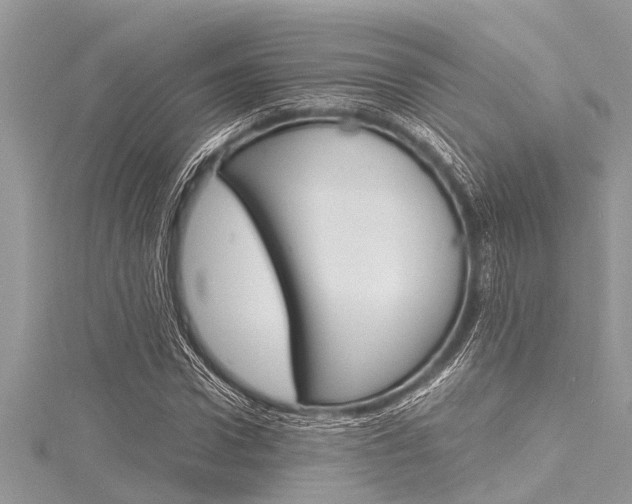 X0000116120922200911230928