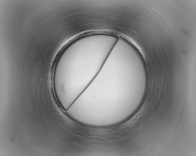 X0000116120935200911230928