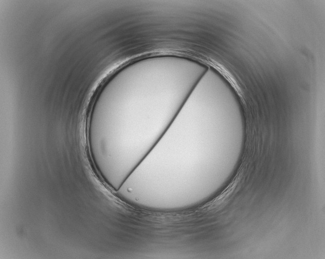 X0000116120939200911230928