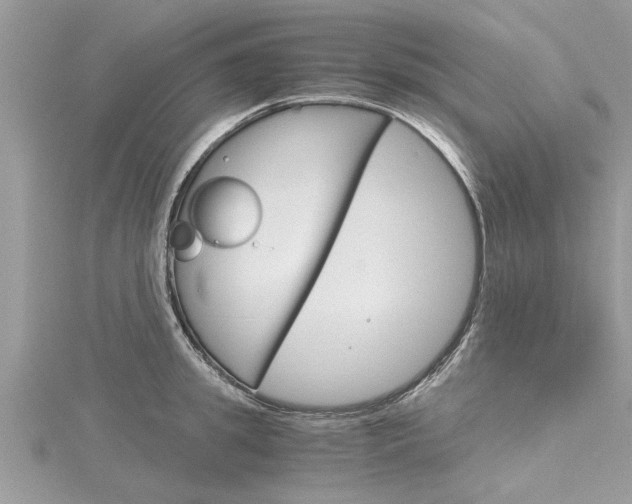 X0000116120949200911230928