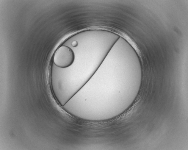 X0000116120955200911230928