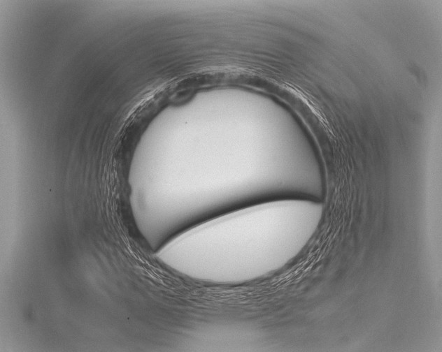 X0000116120967200911230928