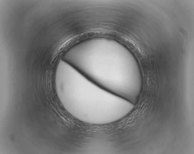 X0000116120968200911230928