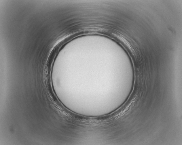 X0000116120971200911230927