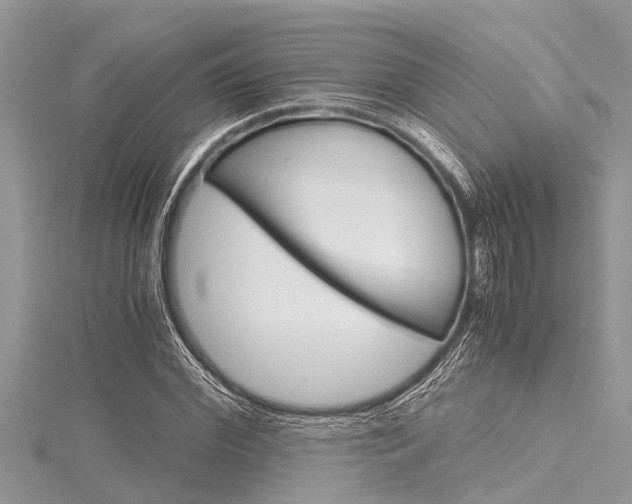 X0000116120972200911230927