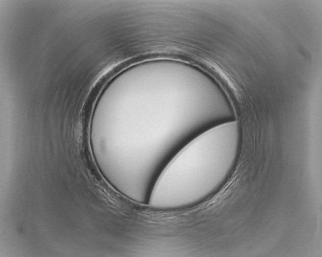 X0000116120975200911230927
