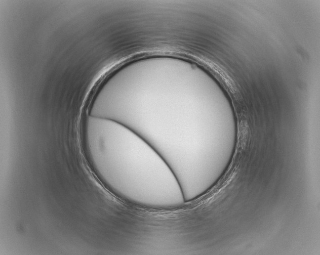 X0000116120982200911230927