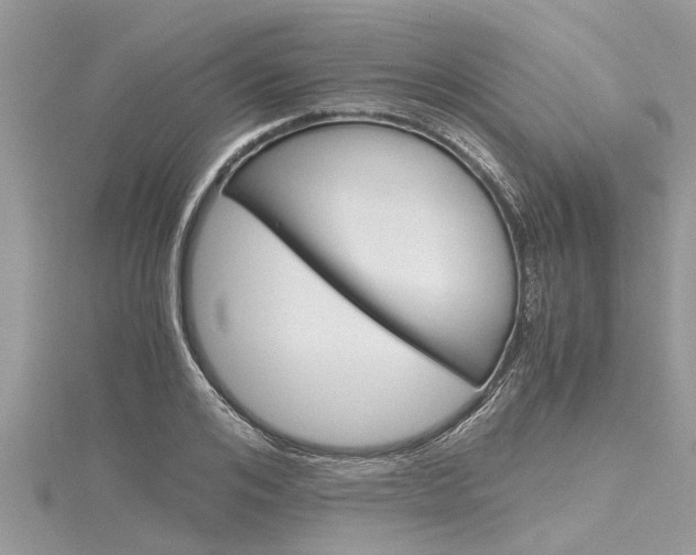 X0000116120984200911230927