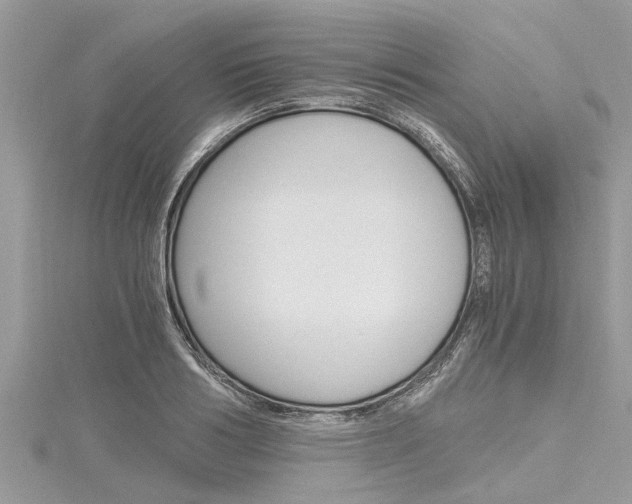 X0000116120986200911230927