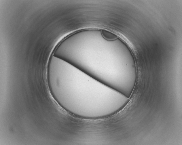 X0000116120996200911230927