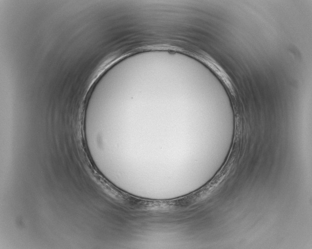 X0000116121002200911230927