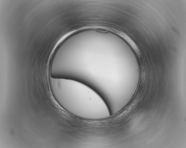 X0000116121004200911230927