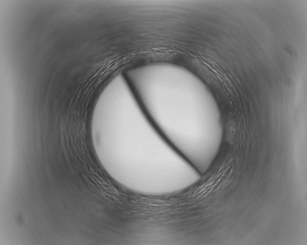 X0000116121010200911230926