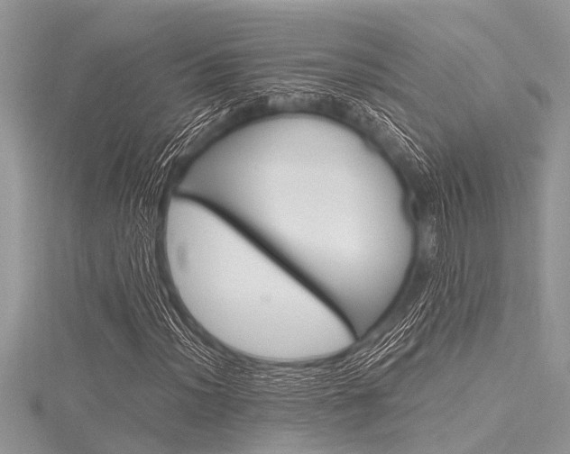 X0000116121012200911230926