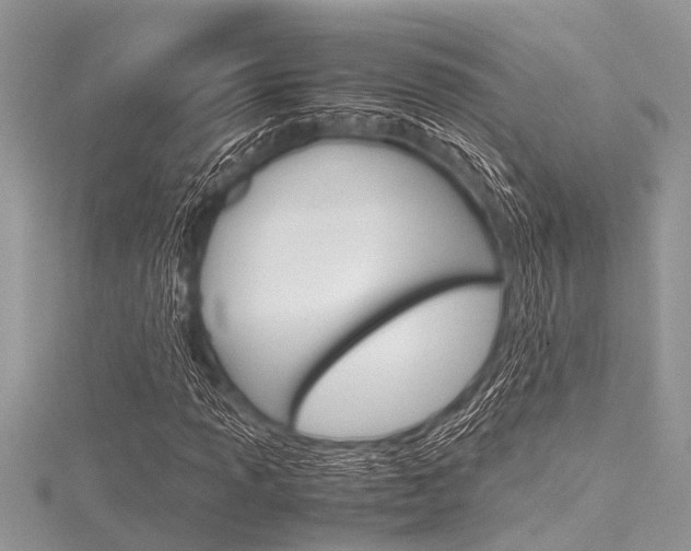 X0000116121013200911230926