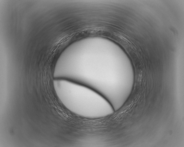 X0000116121014200911230926