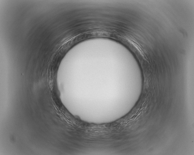 X0000116121015200911230926
