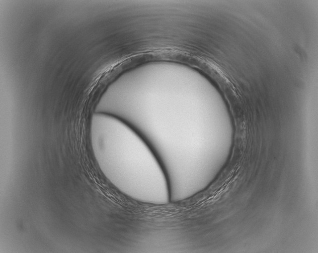X0000116121016200911230926