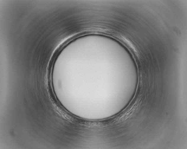 X0000116121020200911230927