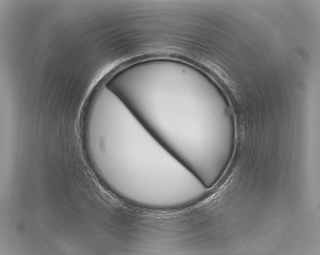 X0000116121022200911230927