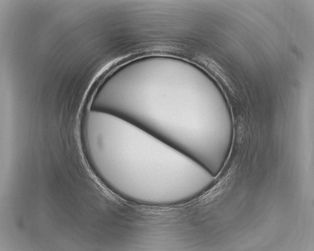 X0000116121024200911230927