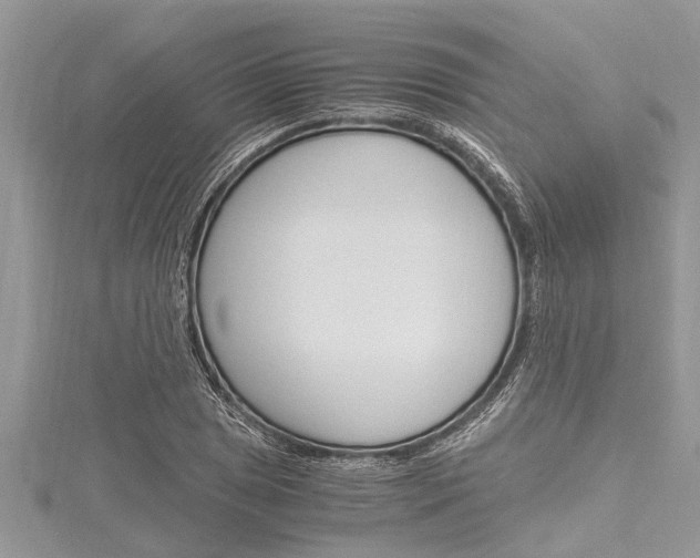 X0000116121025200911230927