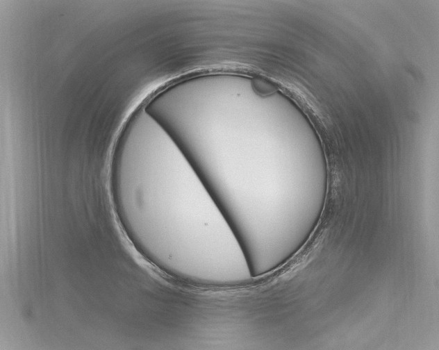 X0000116121038200911230927