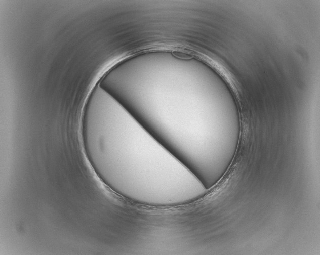 X0000116121050200911230927